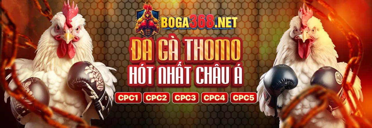 Tổng hợp các trò chơi casino hấp dẫn tại TDTc Apk